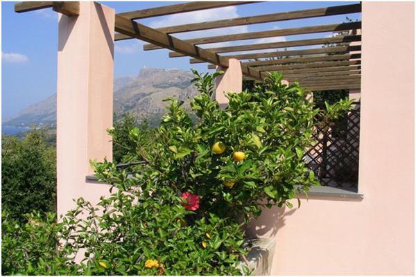 Hotel Martino Maratea Εξωτερικό φωτογραφία