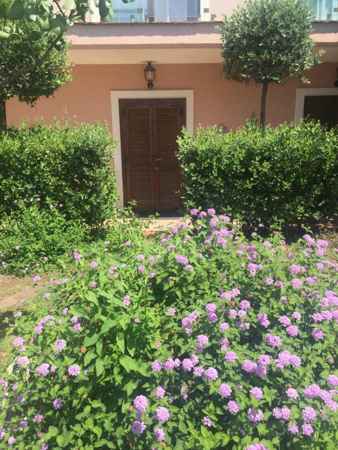Hotel Martino Maratea Εξωτερικό φωτογραφία